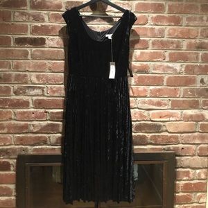 NWT Velvet Dress